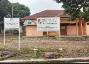 2.400 Ayam APBN di Lampung Utara, BAST Tak Ada di Dinas dan Nilai Bantuan Dipertanyakan